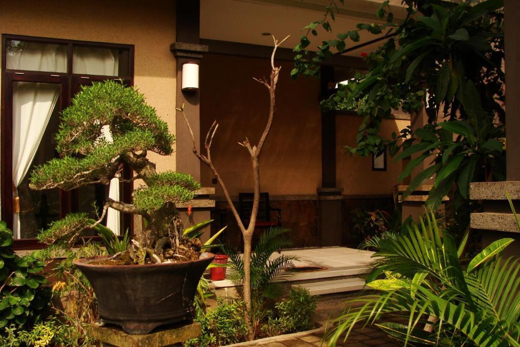 Doubleyou Homestay Pemuteran Luaran gambar
